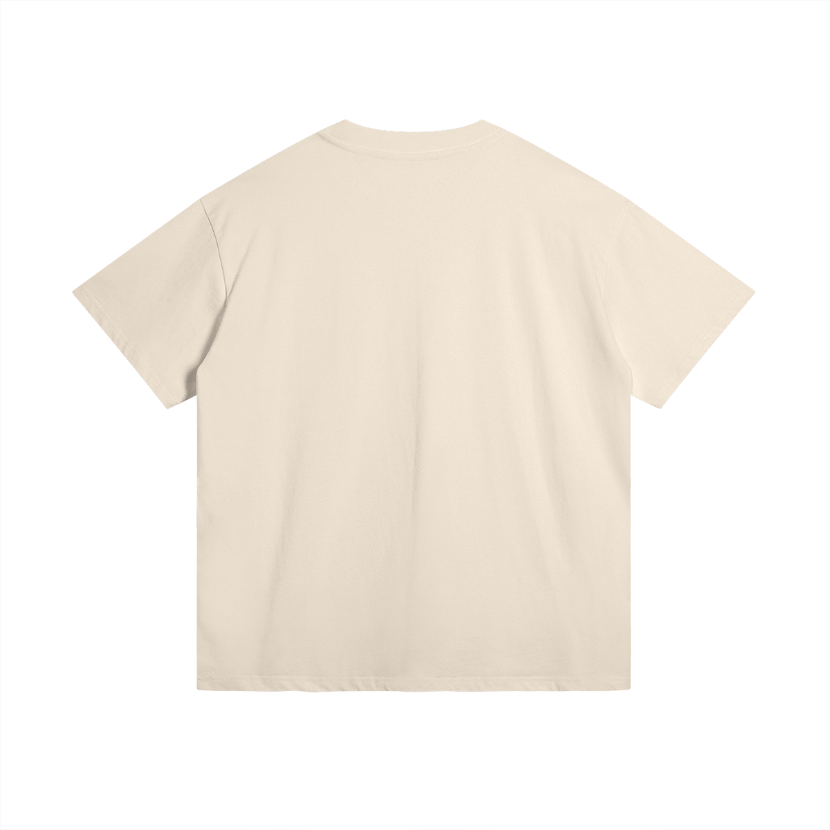 0-YBJ-Back Side